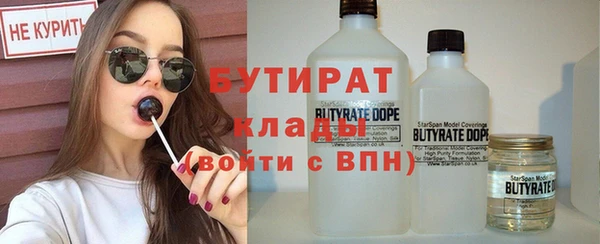 стаф Каменка