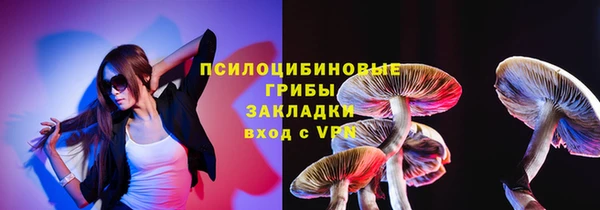 сатива Каменск-Шахтинский