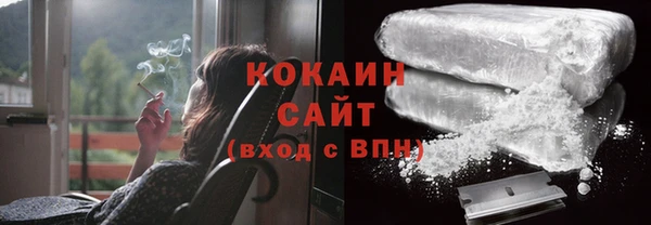 сатива Каменск-Шахтинский