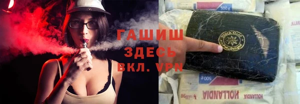 стаф Каменка