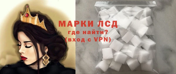 стаф Каменка