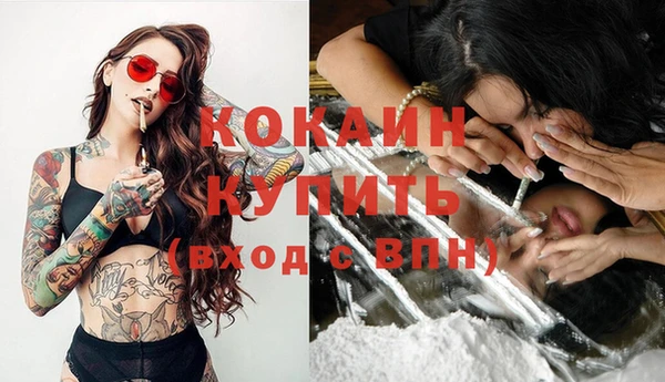 стаф Каменка