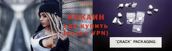 стаф Каменка