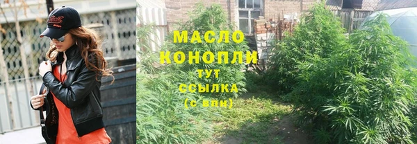 стаф Каменка