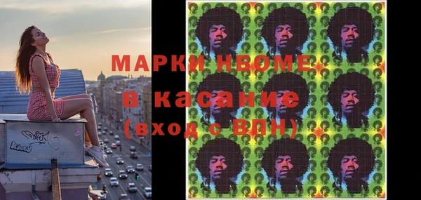 стаф Каменка