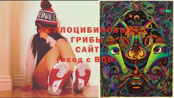 сатива Каменск-Шахтинский