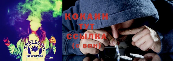 сатива Каменск-Шахтинский