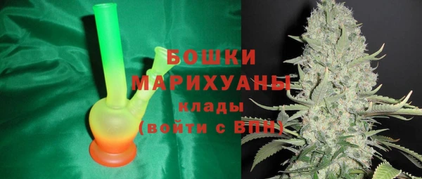 сатива Каменск-Шахтинский