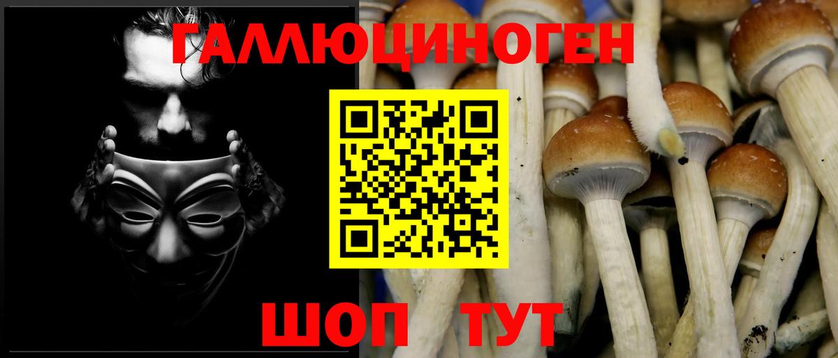 Псилоцибиновые грибы Psilocybe  Вход с VPN  Комсомольск-на-Амуре 